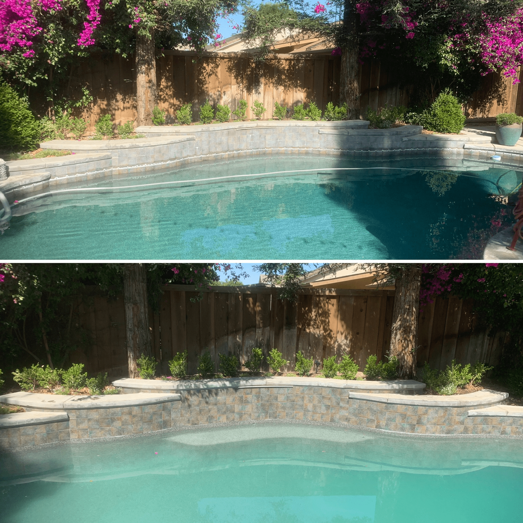 Landscape Near a Pool