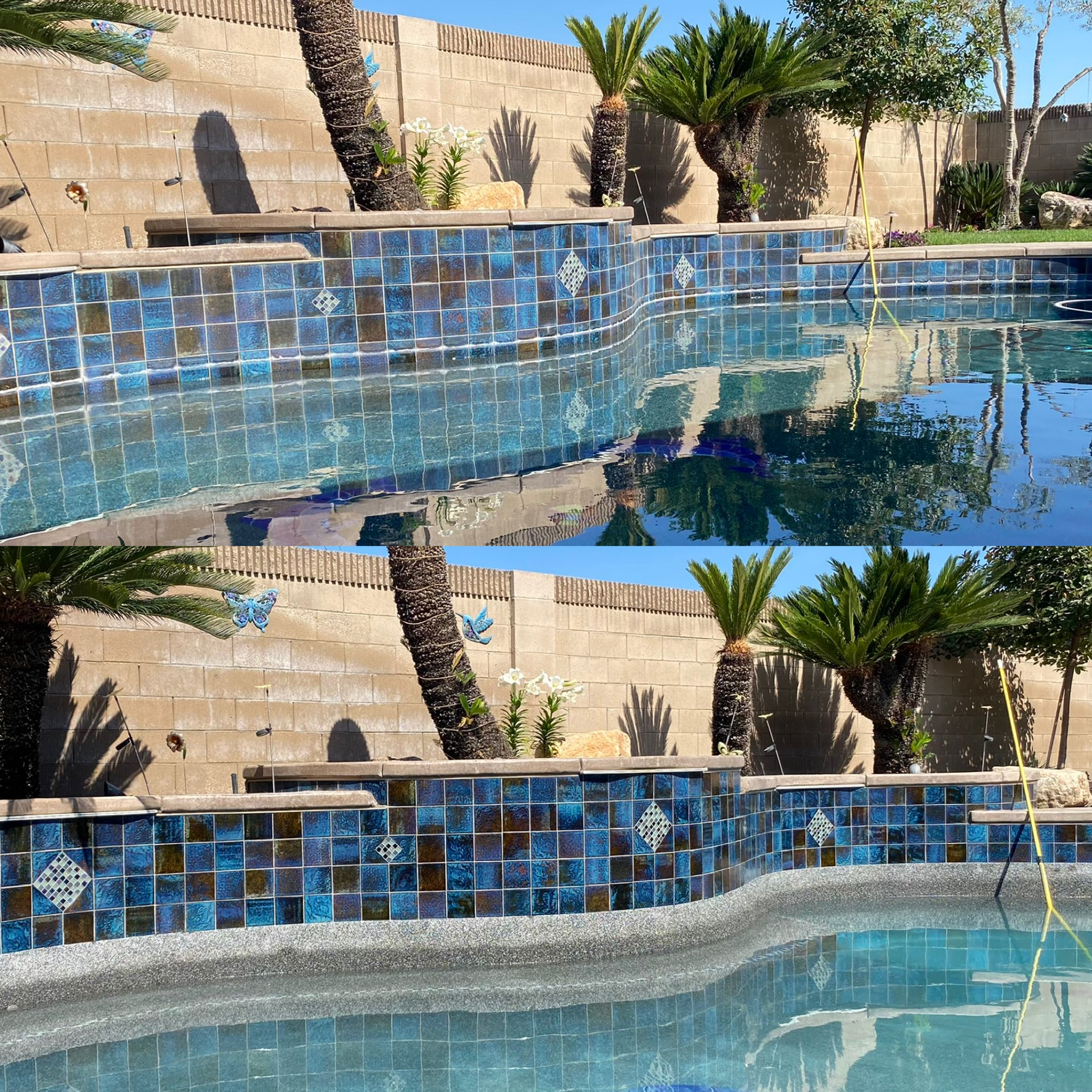 Clean Swimming Pool